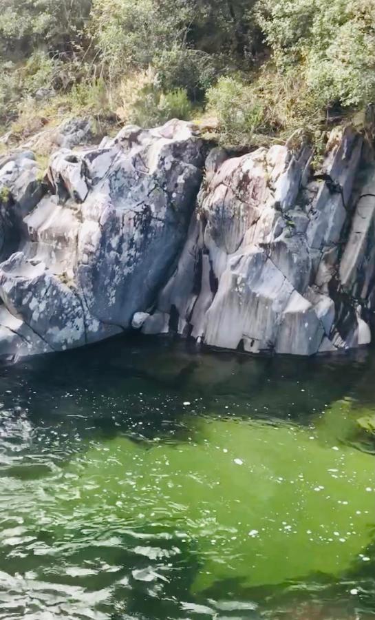 Un Ecrin De Verdure Face A La Mer Isolaccio-di-Fiumorbo Exteriér fotografie